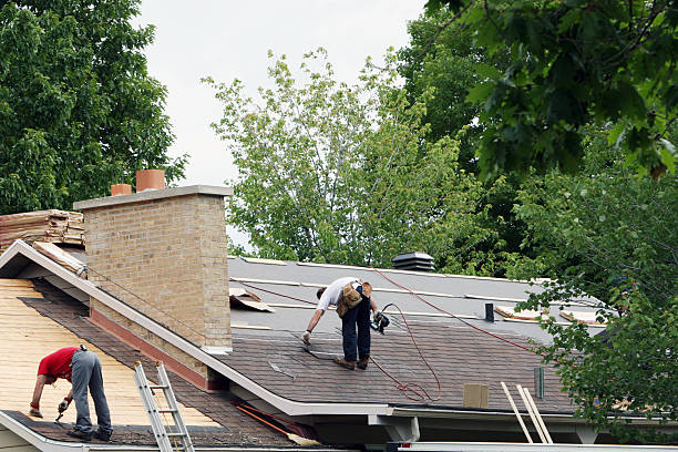 Best Roof Maintenance Services  in Feather Sound, FL