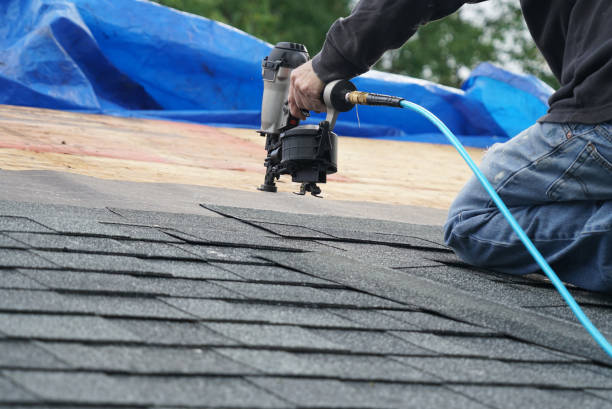 Quick and Trustworthy Emergency Roof Repair Services in Feather Sound, FL